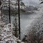 아파트 Sonnenhof